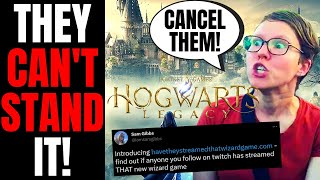 Hogwarts Legacy Causes Woke MELTDOWN | Journalists And Activists Will ATTACK YOU For Playing It