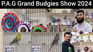 Pag Grand Budgerigar show 2024 | Exibition Budgies, Hagoromo Budgies, Black Face Exibition,