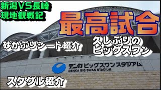 久しぶりにビッグスワンにアルビの試合観に行ったら最高だった日のVlog【スタジアム観戦記/アルビレックス新潟/albirex】