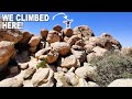 Watch THIS Before Visiting Joshua Tree! | Joshua Tree National Park Travel Guide & What to Expect