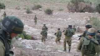 מרץ 11 הנדסה קרבית  - combat engineers