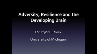 Adversity, Resilience and the Developing Brain