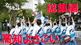 総集編【公式】なるたか2019「indigo」高知よさこい祭り