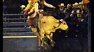 RODEO PROFESSIONNEL LA SARRE 2017