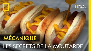 Les secrets de fabrication de la moutarde industrielle