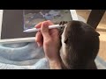 【カワウソさくら】どうしても絵を描かせてくれないカワウソ otter