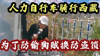 人力自行车骑行西藏到曲水县，公厕旁扎营修车，换了防盗锁以后不怕偷狗贼哈哈！【朵拉的骑行床车生活】