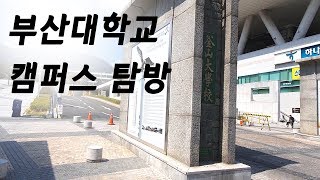 부산대학교 캠퍼스 탐방