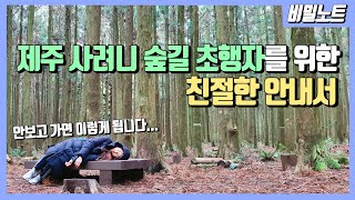 [비밀노트8탄] 🌲제주여행 사려니숲길 무작정 갔다간 몸져 눕는다?!😱 주차부터 입구별 특징까지 자세히 알려드립니다. [제주도여행]