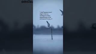 ചിലർ അങ്ങിനെയാണ്# #inspirationalquotes#motivation#ytshorts#malayalam#