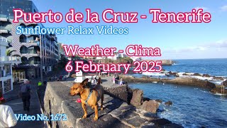 Tenerife 🏝️ Puerto de la Cruz Morning Weather 6 February 2025 Teneriffa