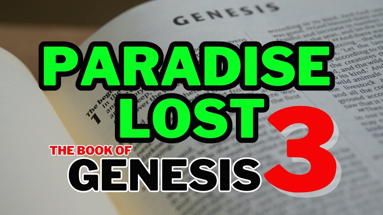 Genesis 3 Paradise Lost: A Journey Through The Bible #bible # ...