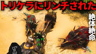 #5 トリケラトプスにリンチされた、鉄を作れるようになった【Ark Survival Evolved】