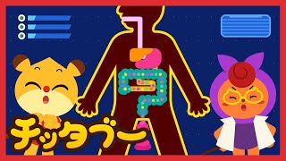 [新曲！✨️]うんちがでるのはどうして？| 体の不思議 | 良い生活習慣の歌メドレー ｜キッズソング | 子どもの歌 | #チッタブー