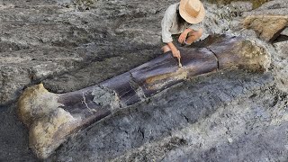 10 Most Recent AMAZING Archaeological Discoveries!