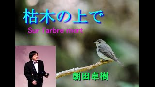 枯木の上で　朝田卓樹　Sur l'arbre mort