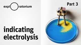 What's going on: Indicating Electrolysis - Science Snacks activity