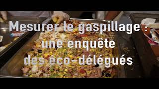 Reportage - gaspillage alimentaire au lycée