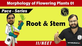 Morphology of Flowering Plants 01 | Root and Stem | Class 11 | Pace Series | NEET