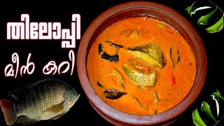 തിലാപിയ ഇങ്ങനെ ഒന്നു കറി വച്ച് നോക്കൂ I Tilapia fish curry kerala style I Silopiya Fish Curry