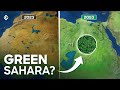 Scientists Are Turning SAHARA Green Again Using This GENIUS Idea