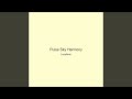 Pulse Sky Harmony