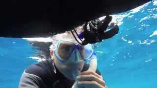 Freediving Curacao 40m Variable weight (HD)