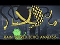 What's up with the Echoes? | Rain World Downpour Lore