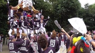 平成29年錦織神社宮入　錦織編　富田林市だんじり祭り