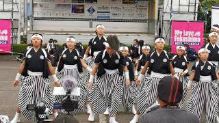 うつくしまよさこい 2019091516 07 會舞道 郷人 福島県南会津郡下郷町