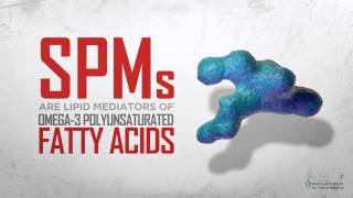 Specialized Pro-Resolving Mediators (SPMs) and their Effects on Inflammation