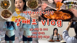 결국 두루치기 엠버서더가 된 나… 일주일만에 급찐급빠 가능할까?🤔 하루만에 1.4kg 빠진 다이어트 식단🥗 (with 플라이밀쉐이크 event)