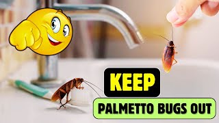 How to Keep Palmetto Bugs OUT of Your Kitchen – Proven Tips