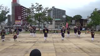 むなかたおどり隊 2019黒崎よさこい祭り