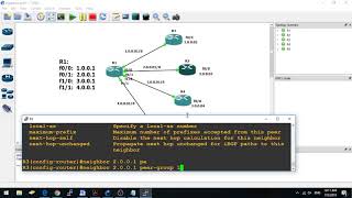 Bgp Peer Group