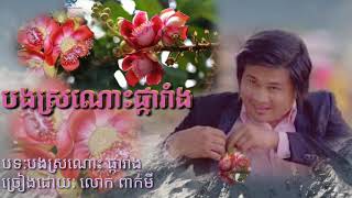 បងស្រណោះផ្ការាំង (ពាក់មី)