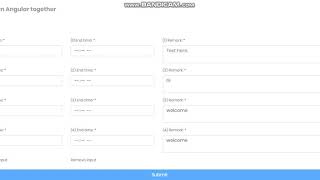 Angular Dynamic input (add and remove)