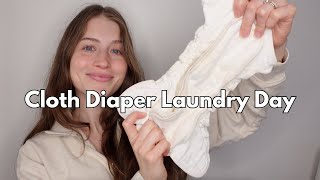 How I wash my cloth diapers - while on a milk only diet