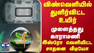 விண்வெளியில் துளிர்விட்ட உயிர்... முளைத்தது காராமணி - இஸ்ரோ வெளியிட்ட சாதனை வீடியோ