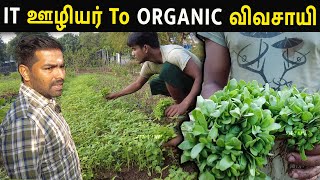 எப்படி தரமான ORGANIC கீரை காய்கறிகளை கண்டுபிடிப்பது | How to Grow Organic vegetables Greens | gokul