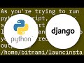 Running Python file from Django views