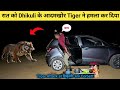 Tiger🐅 Attack At Dhikuli Jim Corbett Tiger Attack Man In The  Forest Jungle Camping Camping In India