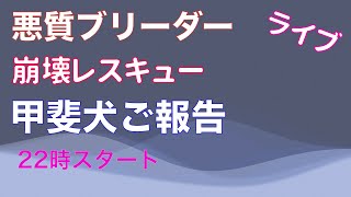 繁殖屋崩壊レスキュー甲斐犬診察結果ご報告22時より