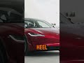 tesla with lfp battery achieves record breaking efficiency in highway test