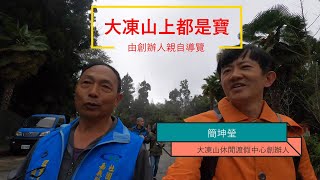 【向里山淨山4:大凍山上都是寶】由大凍山渡假中心創辦人親自導覽 #百年牛樟 #日治柳杉林 #野生愛玉 #愛上台灣368第122集 #有字幕