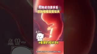 红河试管婴儿代孕供卵精助孕代怀ivf公司