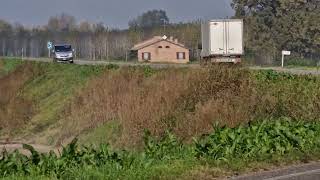 Fossacaprara, è allarme cinghiali sull'argine maestro, 19 novembre 2022