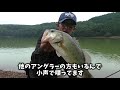 【バス釣り】【諏訪の池】秋の諏訪の池で、バス釣りしてきました。