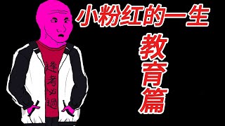 小粉紅的一生...教育｜Wojak