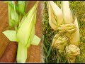 How to make a palm flower bouquet 3(coconut tree leaf)